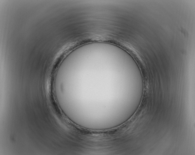 X0000114420686200910161054