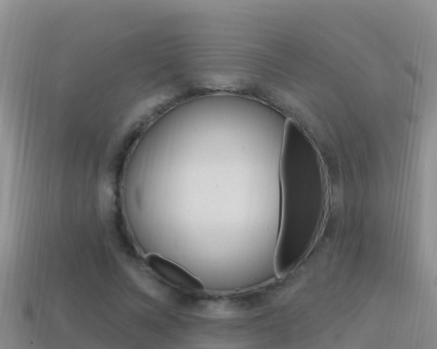 X0000114420688200910161054