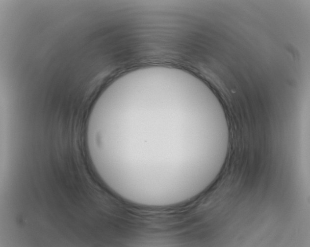 X0000114420693200910161054