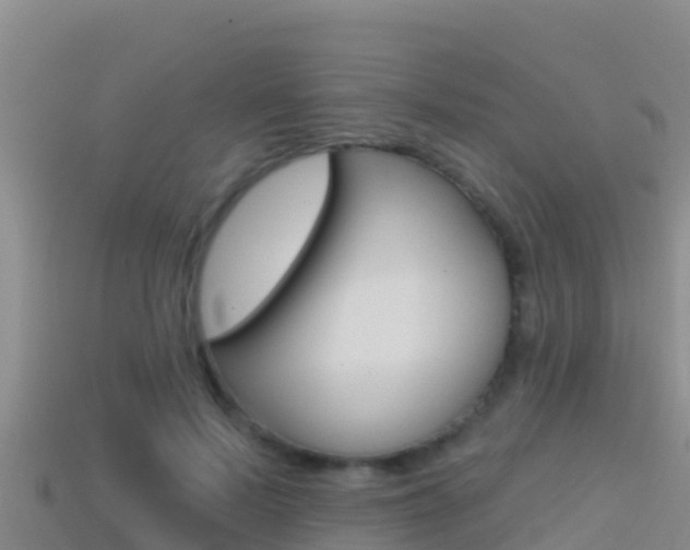 X0000114420695200910161054