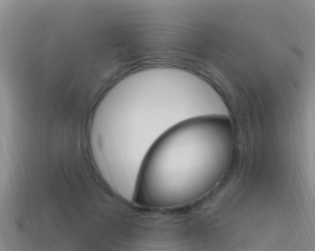 X0000114420697200910161054