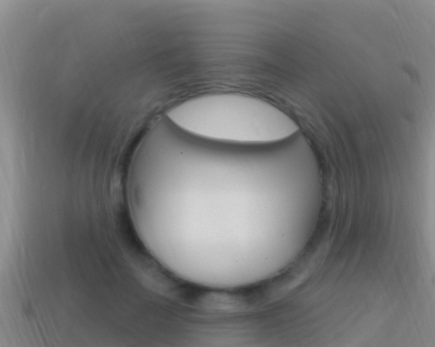 X0000114420699200910161054