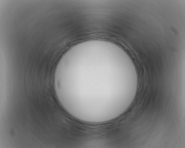 X0000114420701200910161054