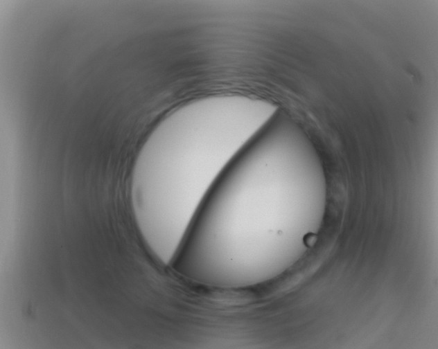 X0000114420707200910161053