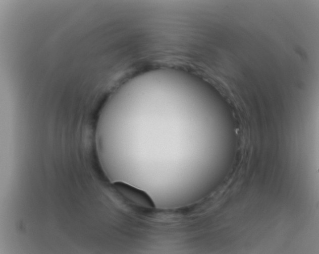 X0000114420708200910161053