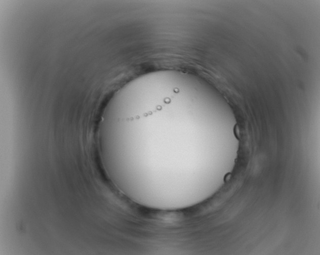 X0000114420711200910161053
