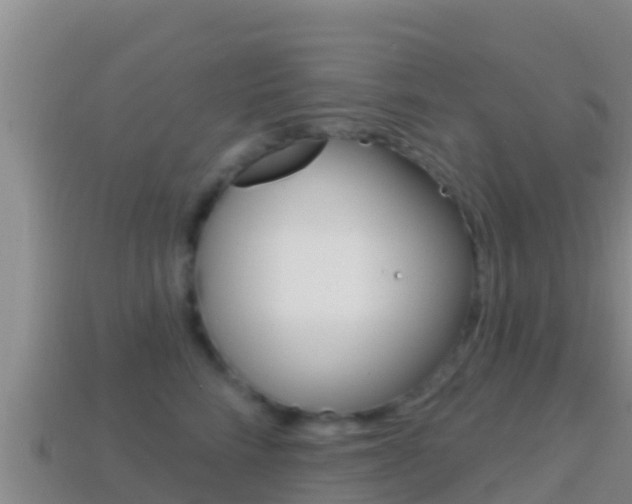 X0000114420712200910161053