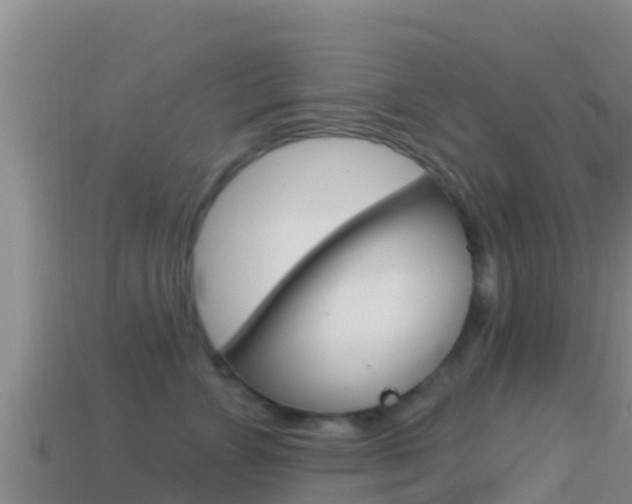 X0000114420715200910161053
