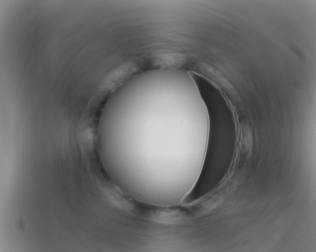 X0000114420716200910161053