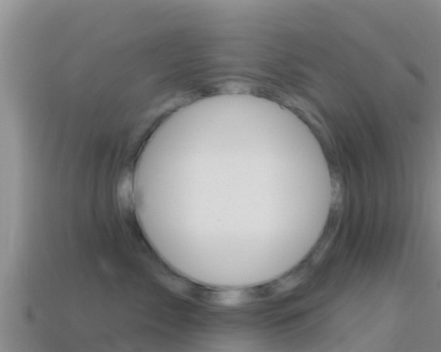 X0000114420717200910161053