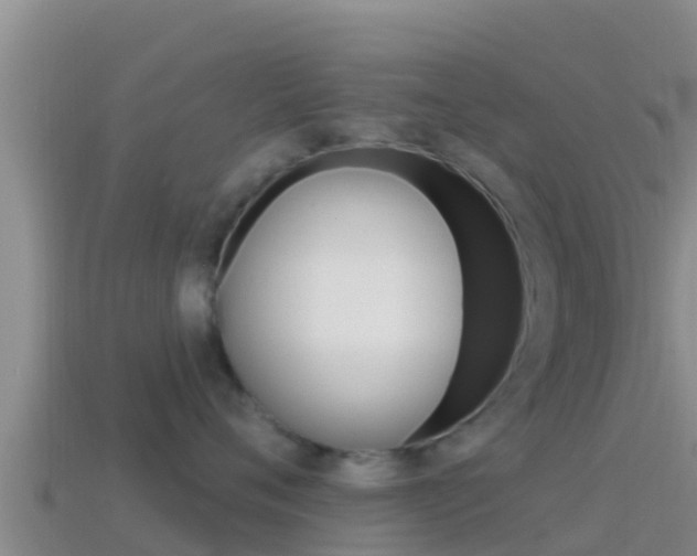X0000114420720200910161053
