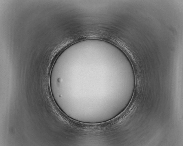 X0000114420721200910161053