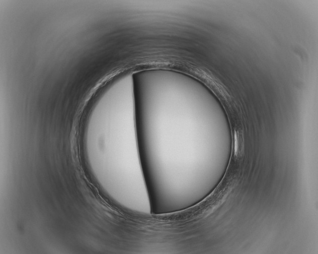 X0000114420723200910161053