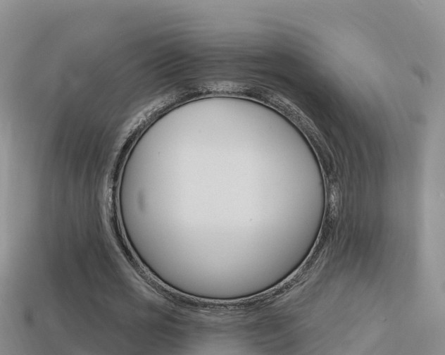 X0000114420725200910161053
