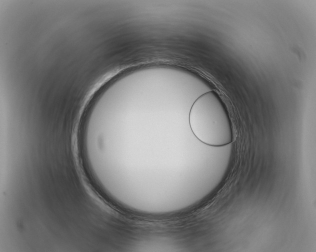 X0000114420726200910161053