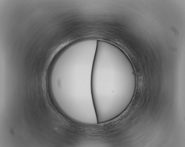 X0000114420727200910161053