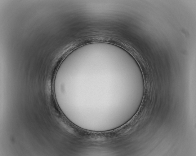 X0000114420729200910161053