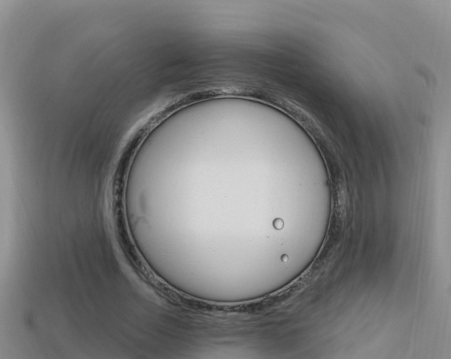 X0000114420730200910161053