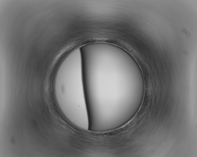 X0000114420731200910161053