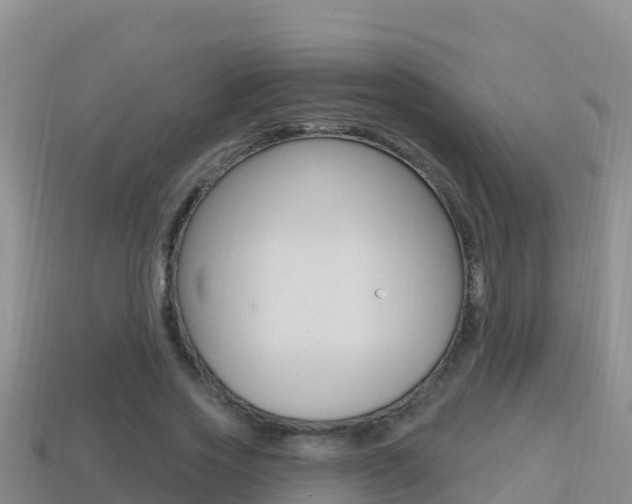 X0000114420733200910161053
