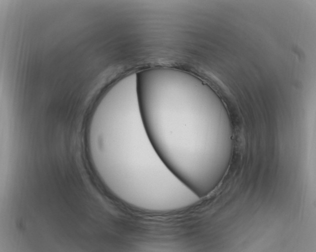 X0000114420738200910161053