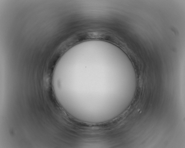 X0000114420741200910161053