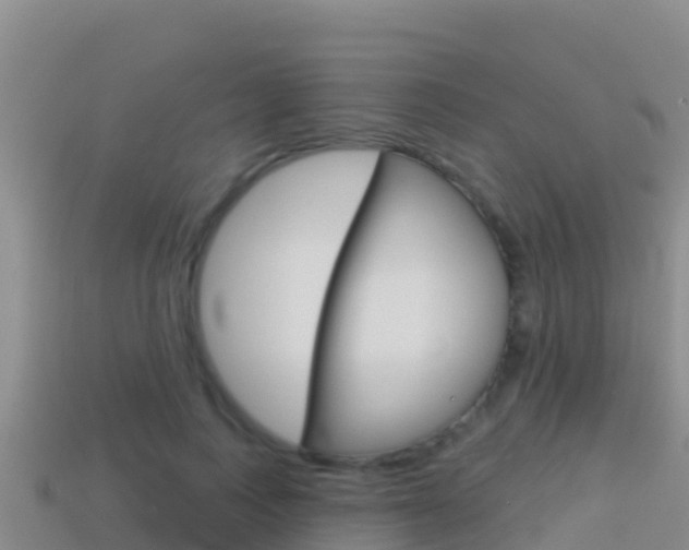X0000114420743200910161053