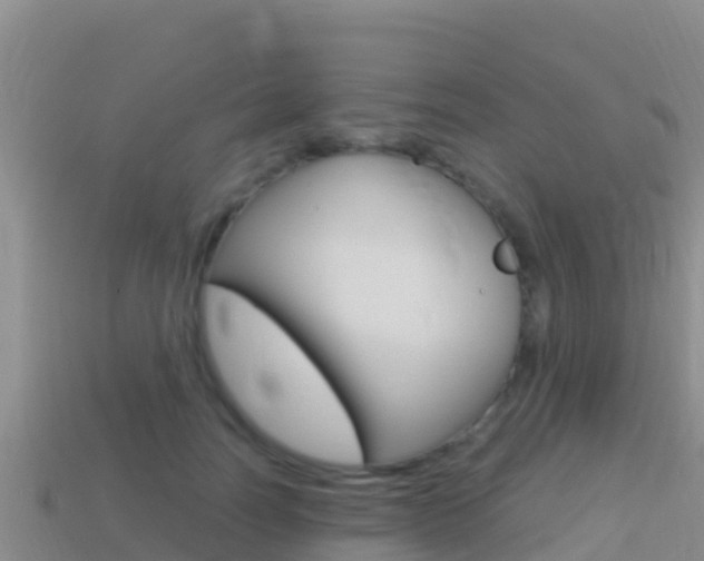 X0000114420746200910161053