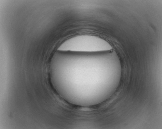 X0000114420759200910161053