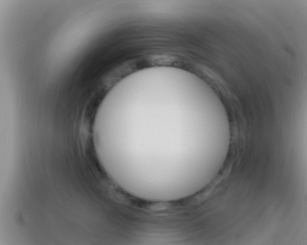 X0000114420761200910161053