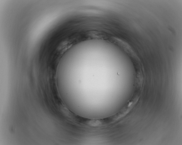 X0000114420762200910161053
