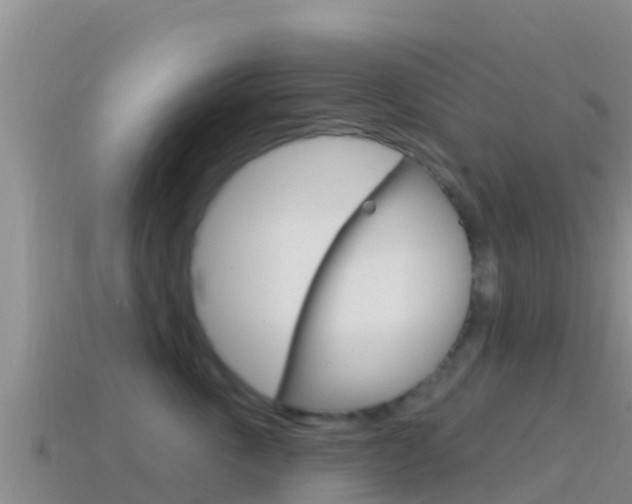 X0000114420763200910161053