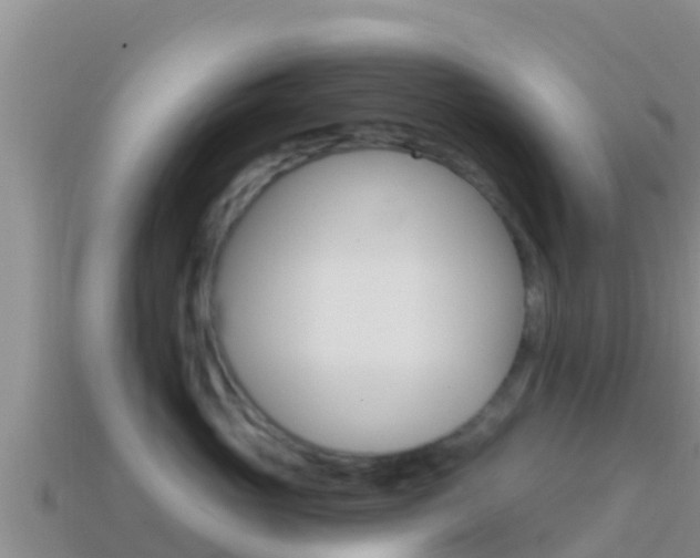 X0000114420765200910161053