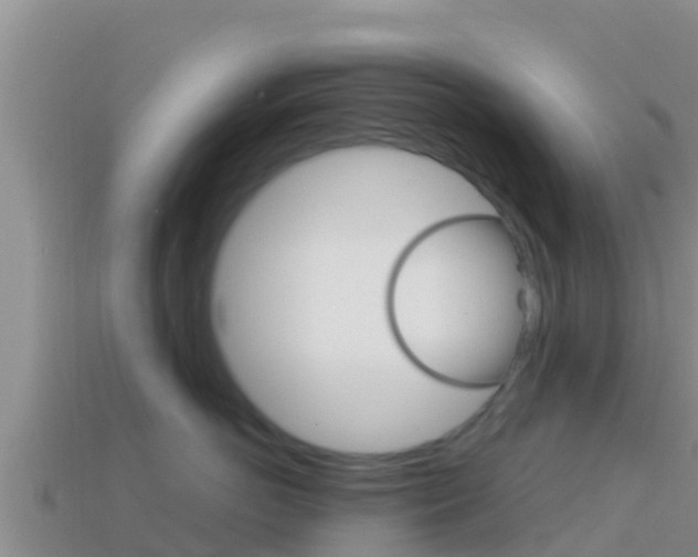 X0000114420766200910161053