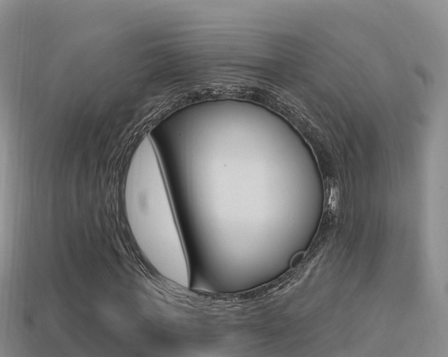 X0000114420771200910161053