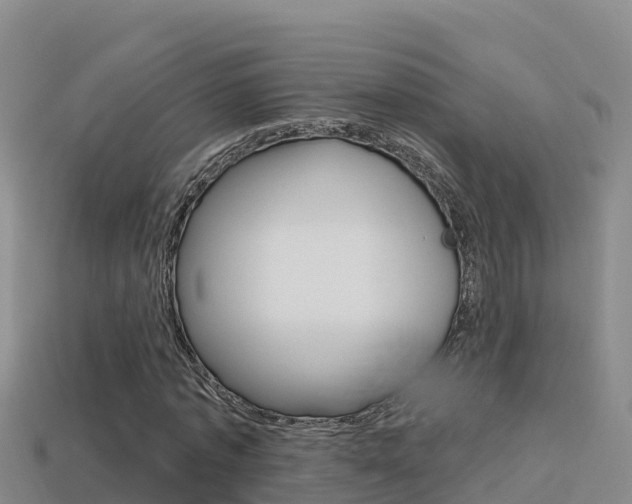 X0000114420773200910161053