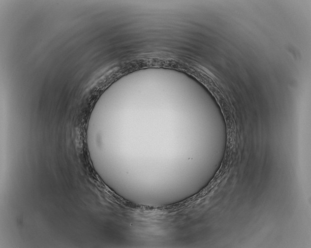 X0000114420774200910161053
