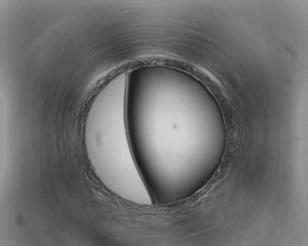 X0000114420775200910161053