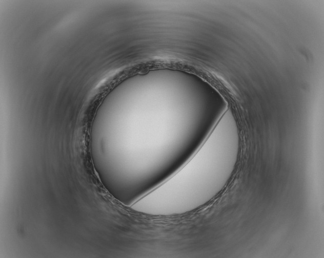 X0000114420776200910161053