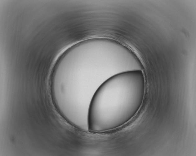 X0000114420779200910161053