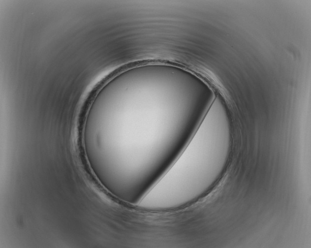 X0000114420780200910161053