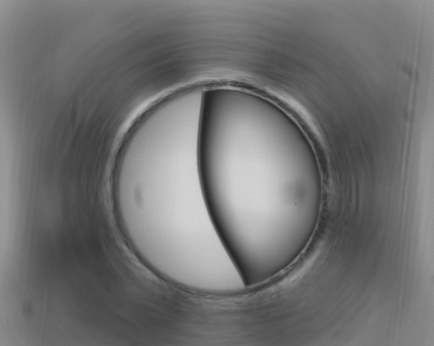 X0000114420783200910161052