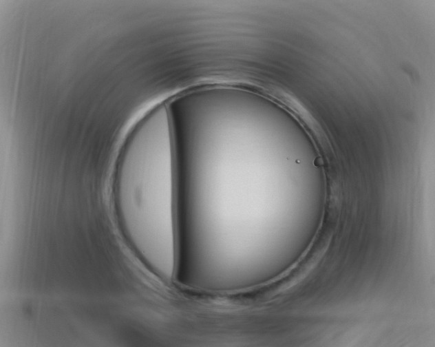 X0000114420787200910161052