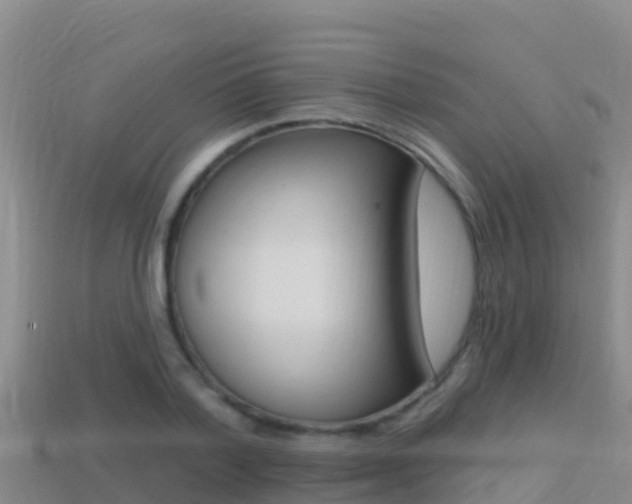 X0000114420788200910161052