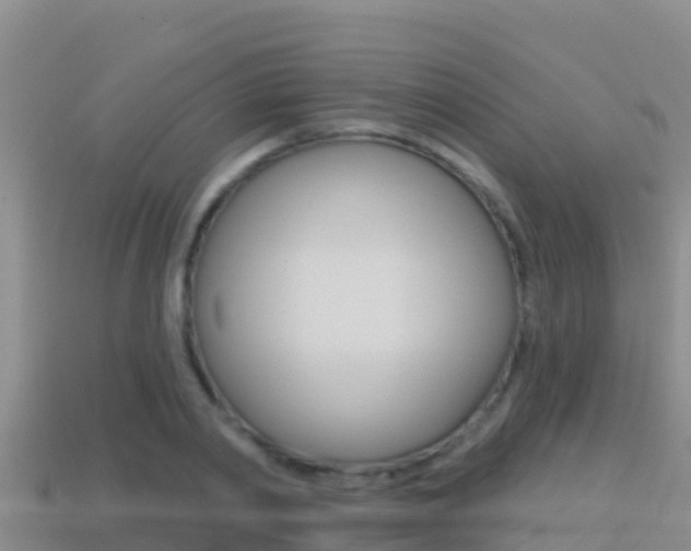 X0000114420790200910161052
