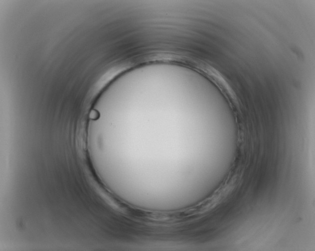 X0000114420794200910161052