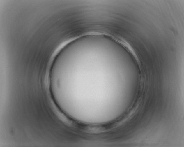 X0000114420795200910161052