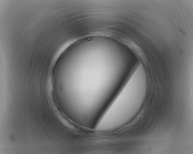 X0000114420796200910161052