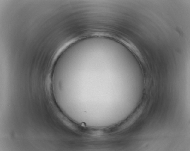 X0000114420798200910161052