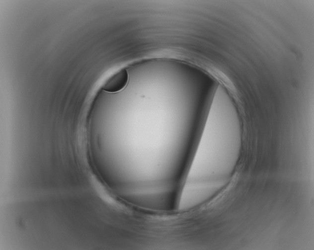 X0000114420800200910161052